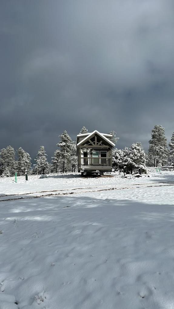 Cozy Cabins By Forest View 3B 威廉斯 外观 照片